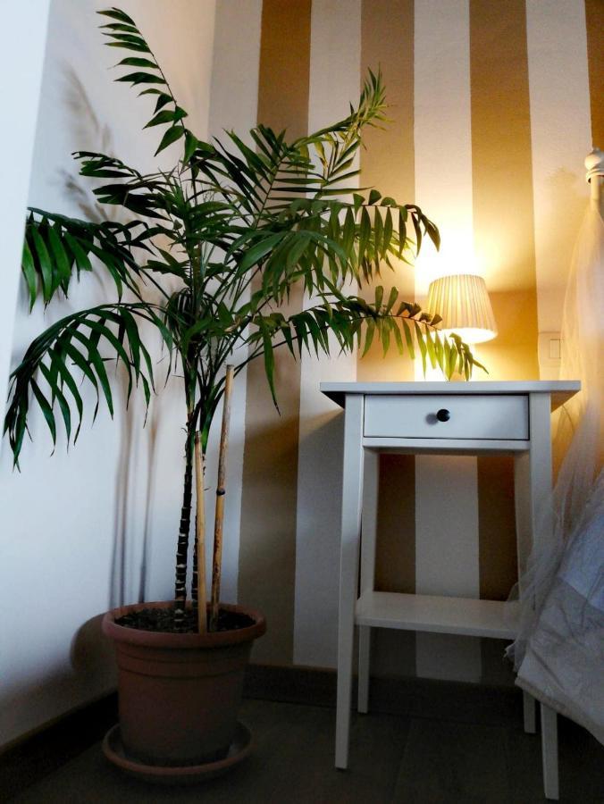 Ab B&B Ischia di Castro Extérieur photo